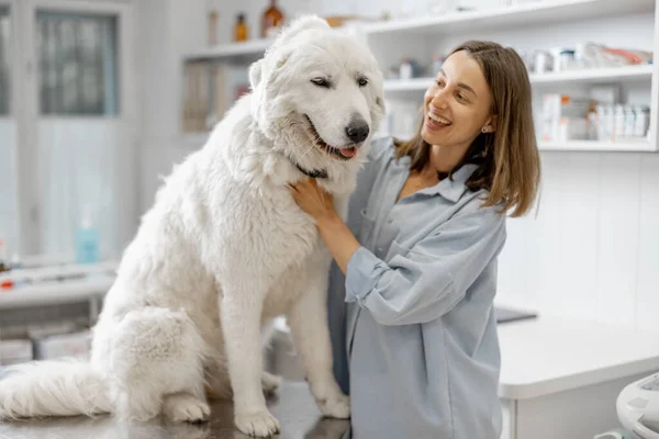 Heureux propriétaire femelle étreignant et apaisant mignon gros chien — Photo