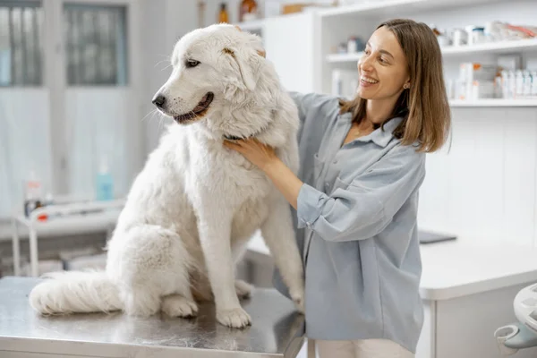 Feliz propietario femenino abrazo y calmante lindo perro grande —  Fotos de Stock