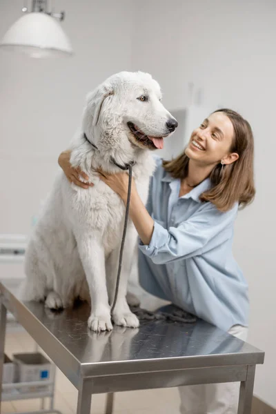 Feliz propietario femenino abrazo y calmante lindo perro grande —  Fotos de Stock