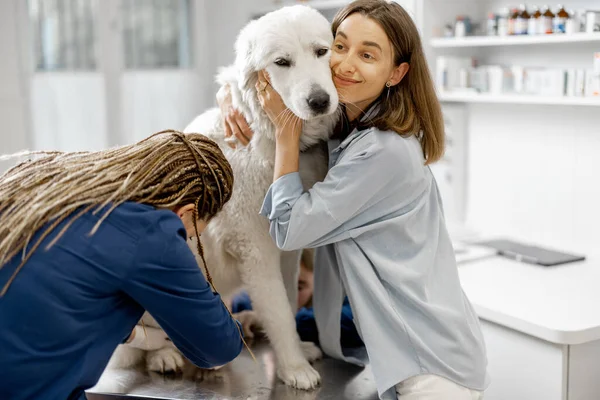 Propietaria femenina abraza y calma a un gran perro pastor blanco —  Fotos de Stock