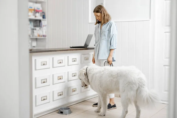 Vrouw met grote witte hond in veterinaire kliniek — Stockfoto