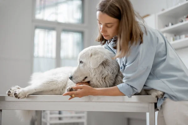 女主人拥抱着一只大白牧羊犬，让它平静下来 — 图库照片