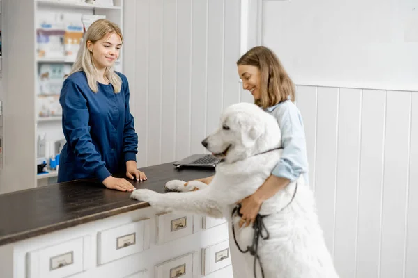 Kvinna med stor vit hund på veterinärkliniken — Stockfoto