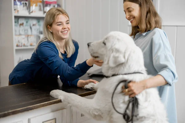 Femme avec grand chien blanc en clinique vétérinaire — Photo