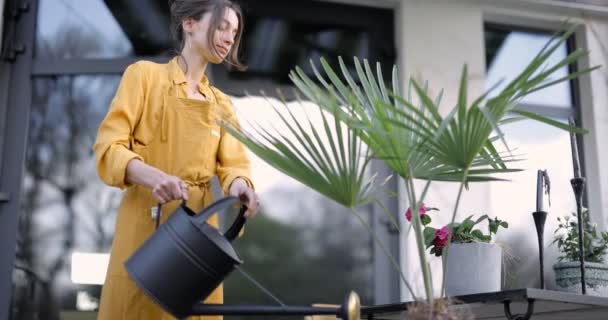 Ama de casa se ocupa de las plantas en el patio trasero — Vídeos de Stock