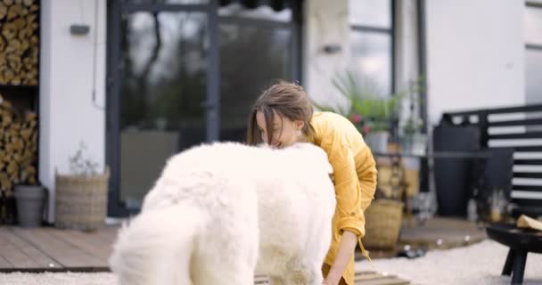 Kvinna leker med en hund på bakgården — Stockvideo