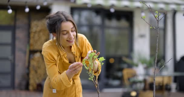 Ama de casa se ocupa de las plantas en el patio trasero — Vídeos de Stock