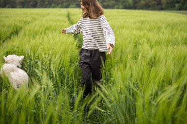 Büyük beyaz çoban köpeği olan bir kadın yeşil çavdar tarlasında yürüyor.