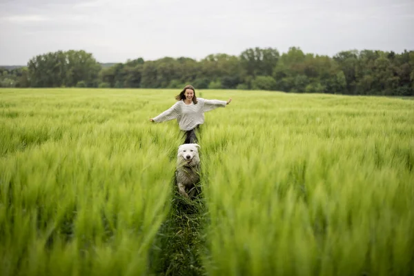 Vrouw met grote witte herdershond loopt op groen rogge veld — Stockfoto