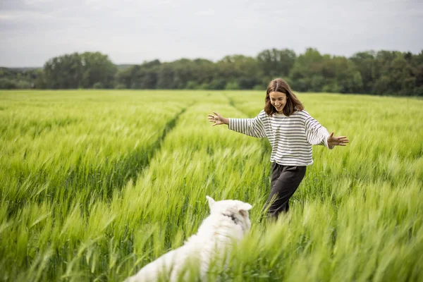 Kvinna med stor vit fårhund går på grönt rågfält — Stockfoto