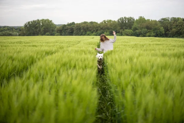 Kvinna med stor vit fårhund som springer på grönt rågfält — Stockfoto