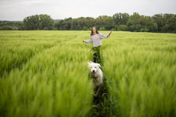 Žena s velkým bílým ovčáckým psem běží na zeleném žitném poli — Stock fotografie