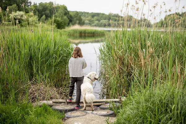 Büyük beyaz çoban köpeği olan bir kadın yeşil çavdar tarlasında koşuyor. — Stok fotoğraf