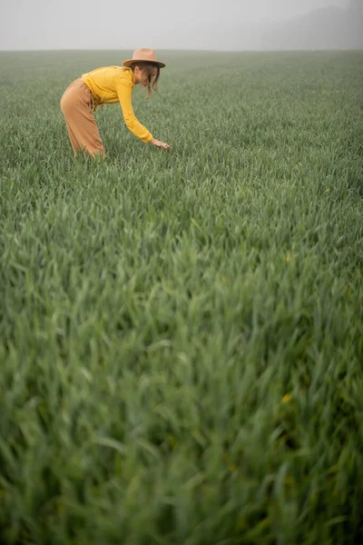 Şapkalı kadın sisli havada yeşil buğday tarlasında yürüyor — Stok fotoğraf