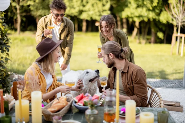 Amigos jugando con un perro durante un almuerzo al aire libre —  Fotos de Stock