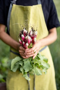Ev bahçesinden taze turp tutan kadın.