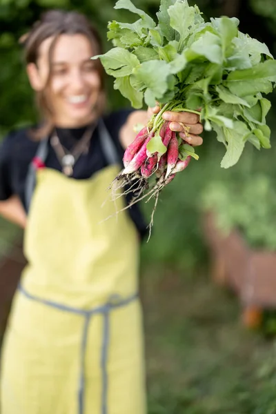Agricultores sosteniendo rábano fresco en las manos en el jardín casero —  Fotos de Stock