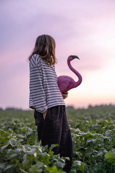 Vrouw met roze flamingo op het veld bij zonsondergang — Stockfoto