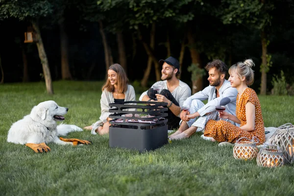 Amis assis ensemble au pique-nique avec barbecue et vin — Photo