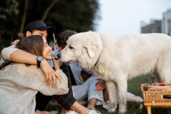 Vänner med hund på picknick — Stockfoto