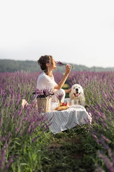 Kvinna njuter picknick på lavendel fält — Stockfoto