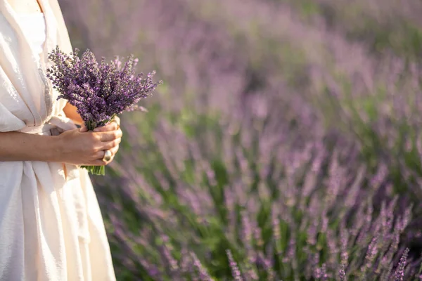 Buquê na mão no campo de lavanda florescente — Fotografia de Stock