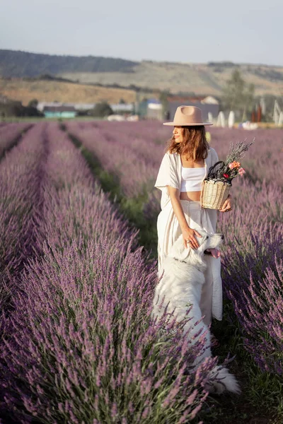 Kvinna promenader med husdjur på lavendel fält — Stockfoto