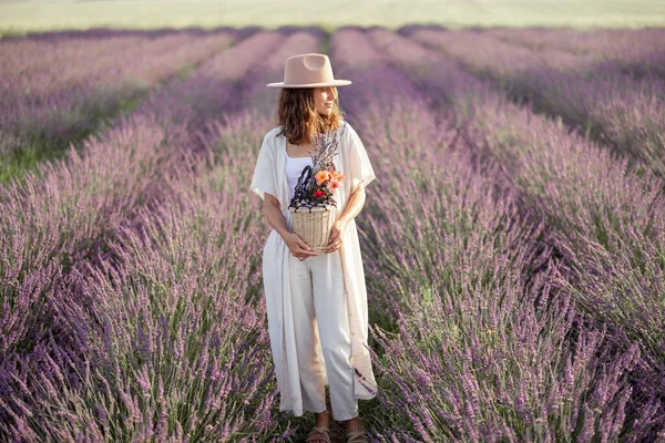 Ramo en la mano en el campo de la lavanda floreciente — Foto de Stock