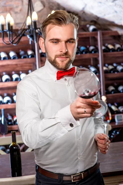 Sommelier dans la cave à vin — Photo