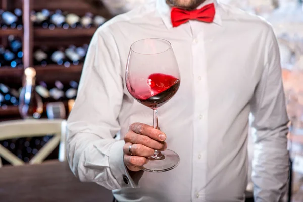 Sommelier dans la cave à vin — Photo