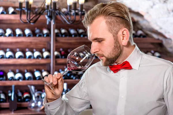 Sommelier im Weinkeller — Stockfoto