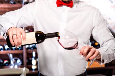Sommelier Şarap mahzeni