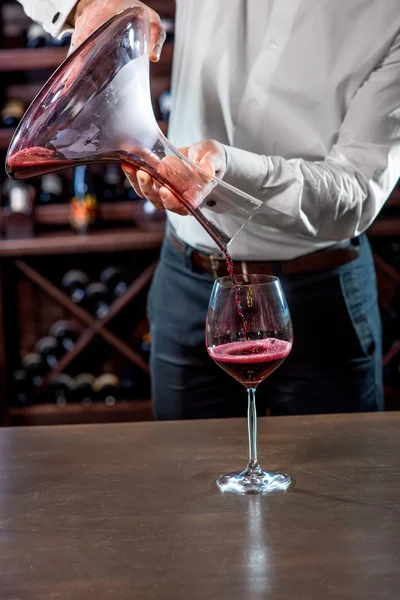 Sommelier in the wine cellar — Stock Photo, Image