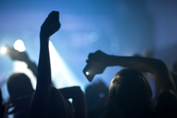 Gruppe von Menschen genießt ein Konzert — Stockfoto