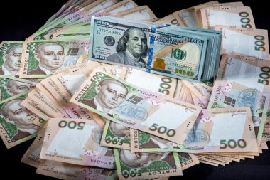 Ukrainian and American money clipart