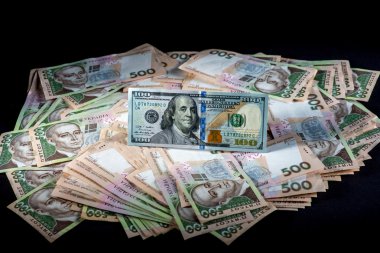 Ukrainian and American money clipart