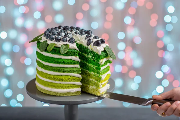绿色的海绵蛋糕 — 图库照片
