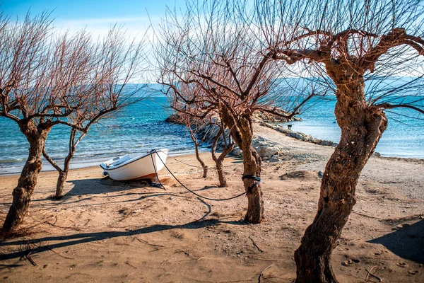 Μοναχικό βάρκα — Φωτογραφία Αρχείου