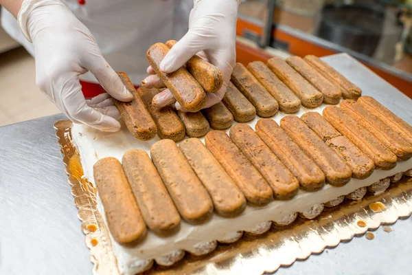 Bolachas Tiramisu — Fotografia de Stock