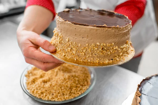 Making biscuit cake — Stock Photo, Image