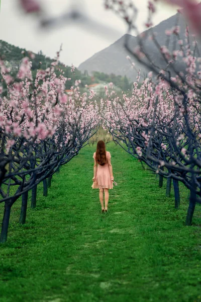 Kvinna som njuter av våren i det gröna fältet med blommande träd — Stockfoto
