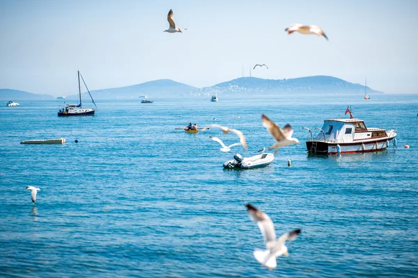 Havsutsikt med måsar och båtar i Istanbul — Stockfoto