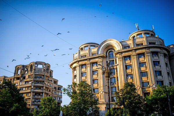 Prédios no centro da cidade de Bucareste — Fotografia de Stock