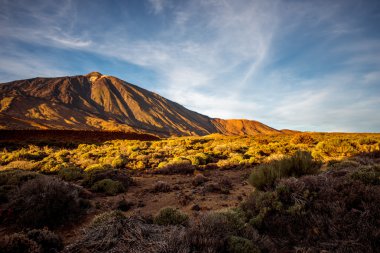 Teide Milli Parkı
