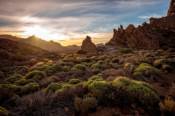 Parco nazionale del Teide — Foto Stock