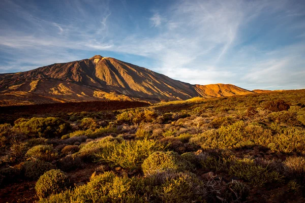 Teide-Nationalpark — Stockfoto
