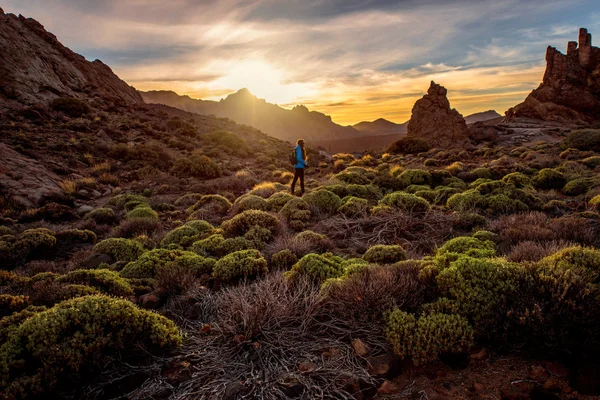 Park narodowy Teide — Zdjęcie stockowe