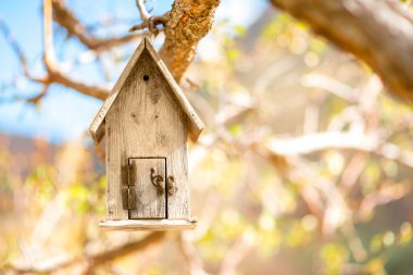 Ağaçtaki kuş evi.