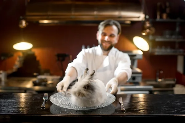 Chef cook serving alive rabbit — Stockfoto
