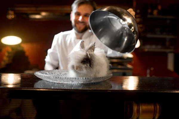 Chef cook serving alive rabbit — Stockfoto